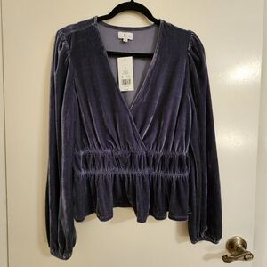 Beautiful Blue Holiday Velvet Top Nwt Large Party Casual Dressy
